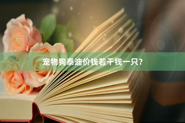 宠物狗泰迪价钱若干钱一只？