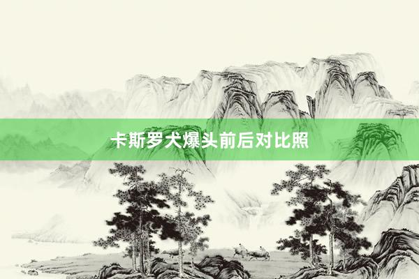 卡斯罗犬爆头前后对比照